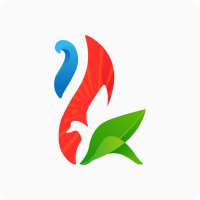 Project Development Manager